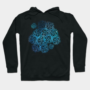 Blue Roses of Galaxy Hoodie